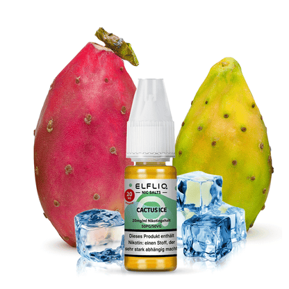 Elfbar ELFLIQ 20mg/ml Nikotinsalz Liquid Cactus
